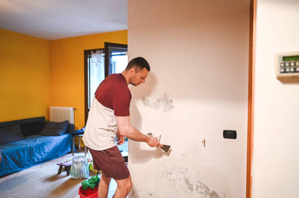 Best Localized Mold Remediation (e.g., coastal areas, humid climates) in New Brunswick, NJ